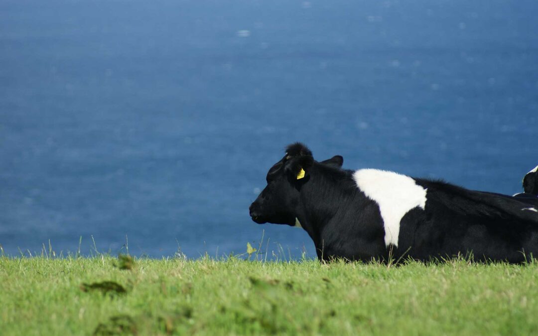 Agroekologia saioak EAEn