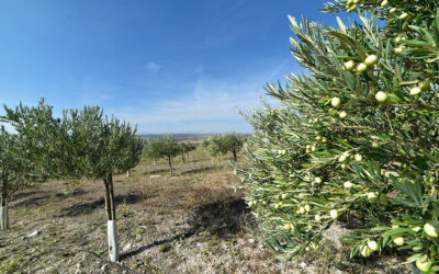 Agroekologia eta EHKOlektiboaren aurkezpenak Nafarroan