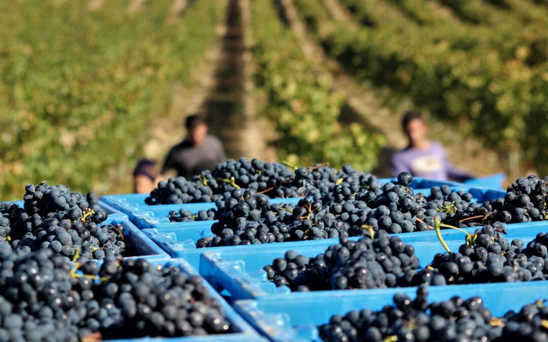 Etxalde bisitak hastera goaz!