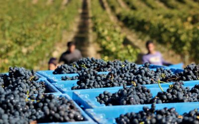 Etxalde bisitak hastera goaz!