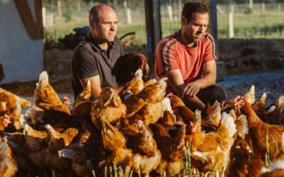 Udazkeneko uzta badator! Ines Osinaga Guneko etxaldean