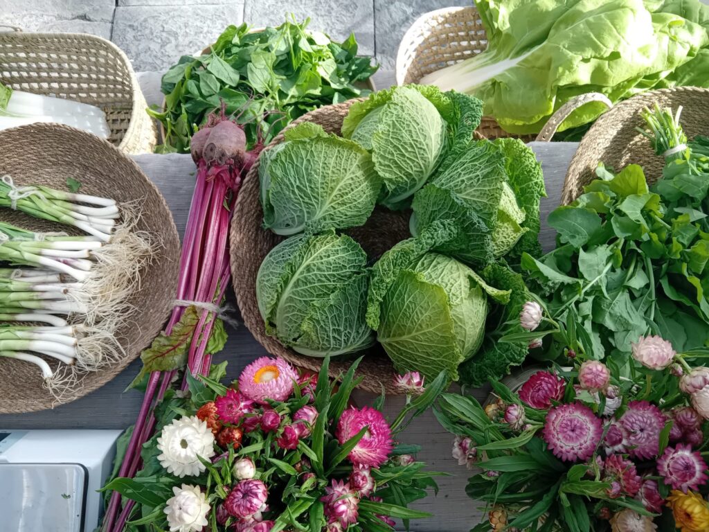 olatxuko laboreak produktoa