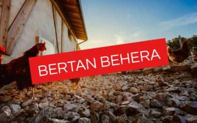 Suspendida la Baserriko Uzta de noviembre