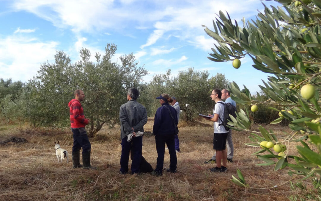 ¡Las visitas a las granjas continúan!